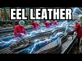 Inside the Eel Leather Factory How Slippery Skin Becomes Luxury Material Full Process