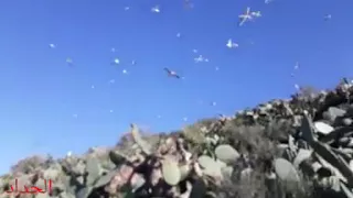 جزيرة كلايريس بالحسيمة دندنها