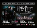 Video di Harry Potter e il Calice di Fuoco™ in Concerto - MILANO