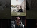 Download Lagu Dog Sad Moments ❤️‍🩹💔🫤 #shorts