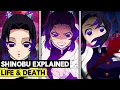 The Life and Death of Shinobu Kocho Insect Hashira Explained - Demon Slayer Kimetsu no Yaiba