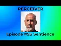 Download Lagu Episode 55 Sentience