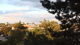                                                                            دندنها