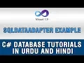 C DataSet and DataTable In Urdu - SqlDataAdapter Example