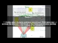 Vector Field Histogram Top 8 Facts