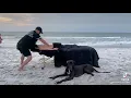 Clearwater Florida Beach Massage