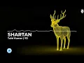 SHARTAAN (Ai Version) - Tulsi Kumar, Abhijeet Srivastava | Official Visualizer | New AI Cover 2025