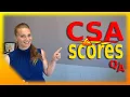 CSA Scores explained The importance of CSA scores for truck drivers