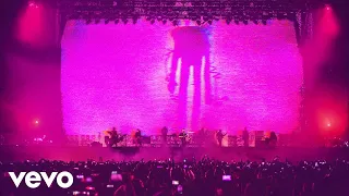 Zoé - Triste Sister (Visualizer/ En Vivo)