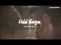 UDD GAYA - Lofi ( Slowed+Reverb ) Jaani | B-Praak | SLOWEDAudio
