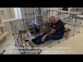 The IKARE Cat Cage Large DIY Indoor Pet Home