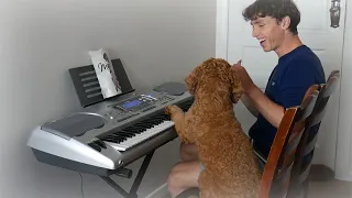 Download I taught my dog to play the piano MP3