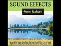 Rainfall With Distant Thunder Rumblings - Robbins Island Music Group