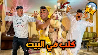 لما اخوك الصغير يجيب كلب في البيت ويسيطر عليكم     سيف عماد دندنها