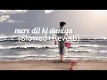 Download Lagu mere dil ki duniya mein aakar to dekho lofi music (slowed+Reverb)