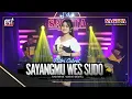 Download Lagu Putri Cebret - Sayangmu Wes Sudo | Dangdut (Official Music Video)