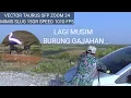 Download Lagu LAGI MUSIM BURUNG GAJAHAN