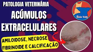 Extracellular accumulations and pathological calcification - Veterinary pathology