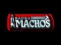 Banda Machos   No soy monedita de oro