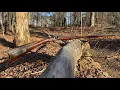 Shooting a 45 Kibler Southern Mountain Rifle
