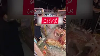 قربانی کردن گوزن و آهو در کربلا اربعین ایران عراق محرم Iran 
