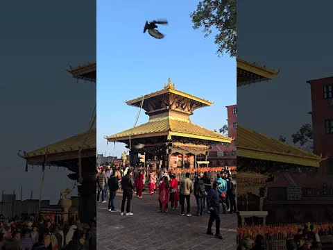 Jay Manakamana Mata #manakamana #manakamanatemple #gorkha