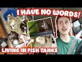RESCUING 5 GUINEA PIGS FROM CRAIGLIST LIVING IN FISH TANKS