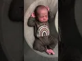 Download Lagu Ik heb een hele regenboogbabycollectie en ik vind het zo leuk hoe eenvoudig deze baby's zijn.