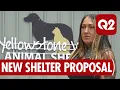 Yellowstone Valley Animal Shelter Seeks Renewed Partnership with Billings