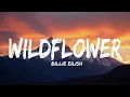 Download Lagu Billie Eilish - WILDFLOWER (Lyrics)