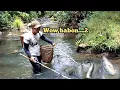 Download Lagu hasilnya babon semua‼️nyetrum ikan di pinggir kebun_dapat banyak