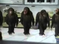 Happy Birt ay Dancing Chimps Style