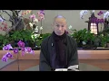 Download Lagu Dharma Talk (Eng. Translation) by Most Venerable Thích Phước Tịnh, 2019 06 19, Deer Park Monastery