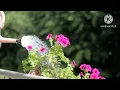 Download Lagu khushiyan aur gham sehti hai song WhatsApp#trendingshorts #youtubeshorts #sorts