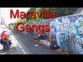 Gang lands Maravilla gangs