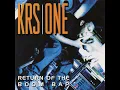 Sound of da Police - KRS-One
