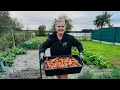 Download Lagu VLOG: mama wzywa na ratunek do ogródka 🥕 