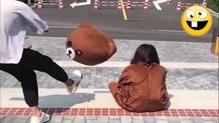 funny compilation from troll bears cant help laughing 1