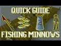 Quick Guide to Fishing Minnows in OSRS
