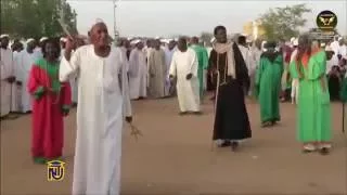 اولاد الشيخ البرعي الأوآئل سراي الليل جو جو 