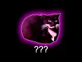 Maxwell The Cat Sound Variations in 30 Seconds