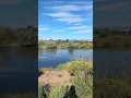 Exploring Nature in Loveland CO