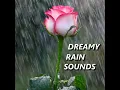Windy Rain Sounds