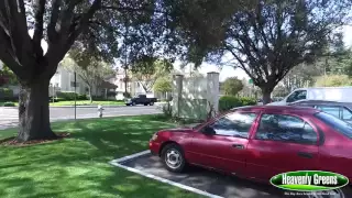 Heavenly Greens Artificial Turf Systems - Greenpointe Apartments