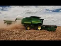 Download Lagu This Is Just Beginning - Milo Harvest 2025