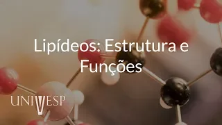 Bioquímica – Aula 04 -  Lipídios: estruturas e funções
