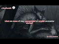 what are some of your paranormal or cryptid encounter stories