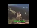 Download Lagu marmottenschreeuw (VOLUME WAARSCHUWING)