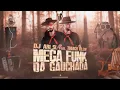 Mega Funk da Gauchada - DJ Ari SL feat. Thiago Klein