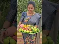 Download Lagu fruits harvesting #fruits #mygarden #harvesting #shortvideo #ytshorts #fruit #gardening #viral